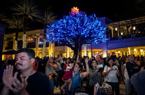 Best Christmas events, lights in Palm Beach County, West Palm, Boca