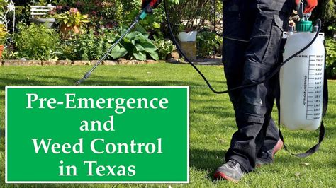 Pre Emergence And Weed Control In Texas Youtube