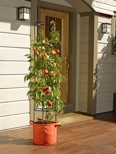 30 Easy Container Vegetable Garden Ideas For Your Yard Engineering