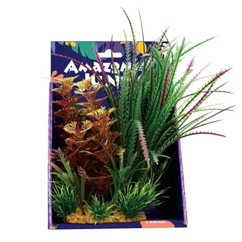 Amazon Jungle Plants 20cm – Aquarium Store Melbourne | Marine & Accessories | Corals | Tropical ...