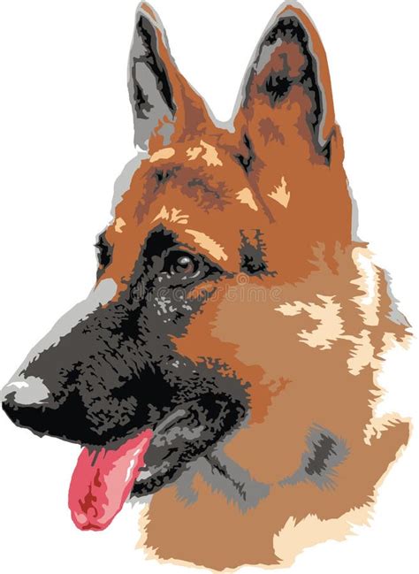 Vector Color Sketch Dog German Shepherd Breed Stock Vector