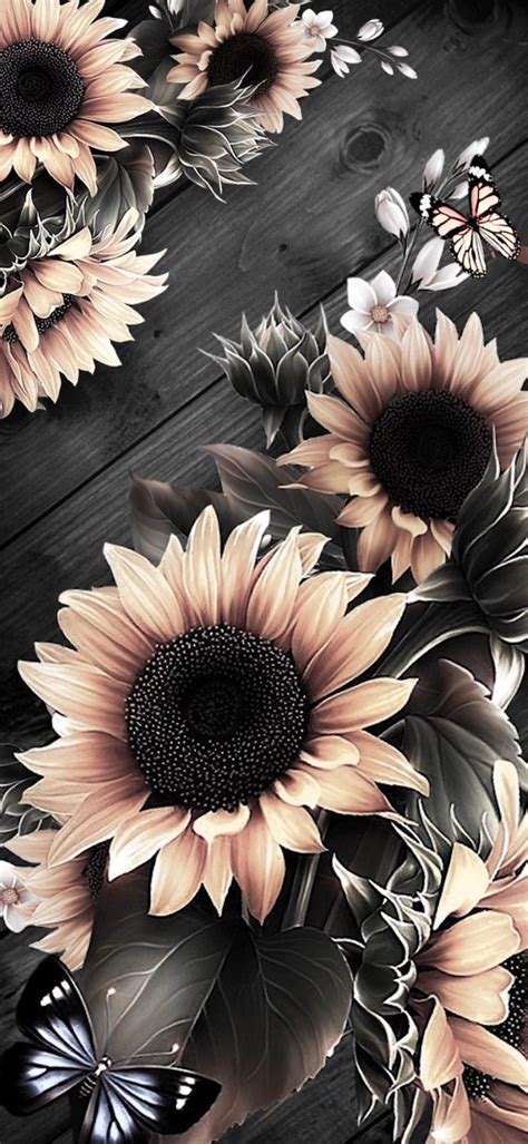 Vintage Sunflower IPhone Wallpaper For A Beautiful 2022