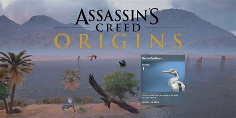 Assassin S Creed Origins Where To Find Heron Feathers