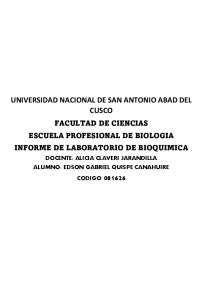 Informe Laboratorio Bioquimica Docsity