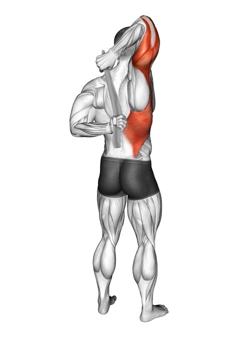 3 Best Rear Deltoid Stretches (with Pictures!) - Inspire US