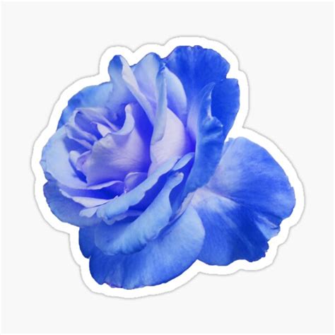 Ombré Blue Rose Hipster Pretty Trendy Flowers Sticker For Sale By