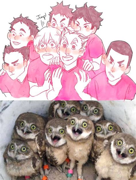 Things I Like Mostly Gay Haikyuu Anime Haikyuu Manga Haikyuu