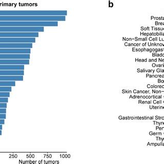 Cancer Type Distributions Of Primary And Metastatic Tumors A The