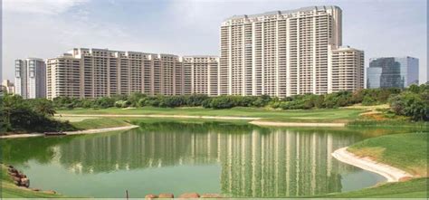 Dlf The Arbour Sector A Luxurious Haven For Modern Living