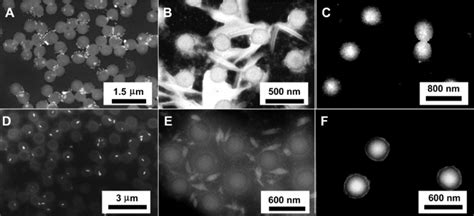 Tem Images Of Euf Nps Generated With Microgel Templates Under Di Ff