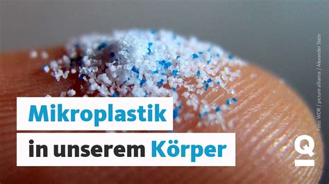 Mikroplastik Berall Und Jetzt Das Update Quarks Daily Spezial