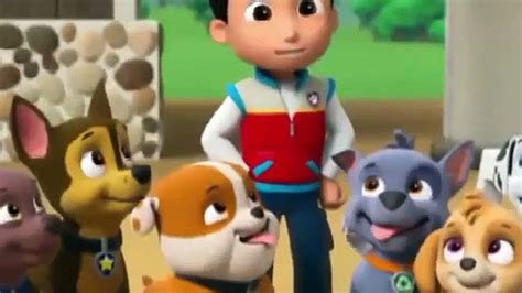 Patrulla De La Pups Save The Parrot Pups Save A Friend Paw Patrol