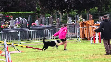 Concours Agility Bierne YouTube