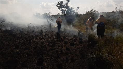 Incendio Forestal Arrasó 19 Hectáreas En Serranía De La Lindosa