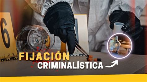 TÉcnicas De FijaciÓn En CriminalÍstica Youtube