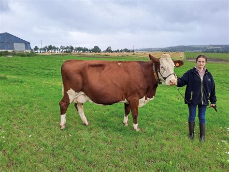 La génétique avant tout Journal Paysan Breton