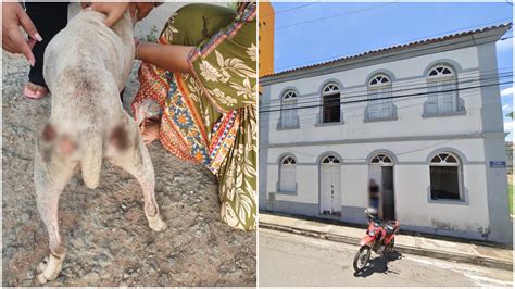 Homem é preso por maus tratos a cachorro em Minas Gerais