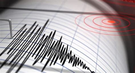 5.3 Magnitude Earthquake Hits Georgia - Georgia Today