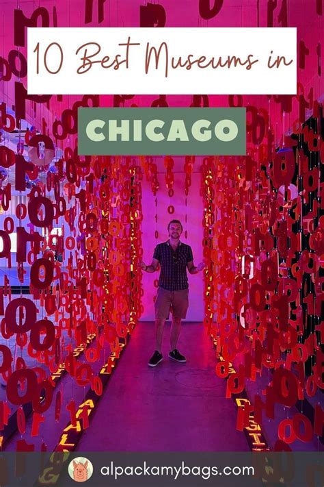 10 Best Museums in Chicago | Chicago museums, Chicago, Chicago fall