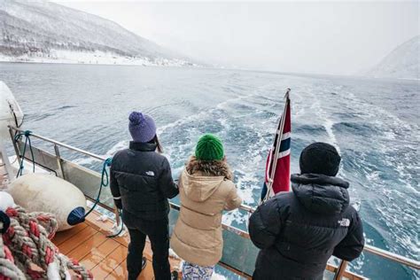 Tromsø: Arctic Fjord Cruise by Hybrid-Electric Catamaran | GetYourGuide