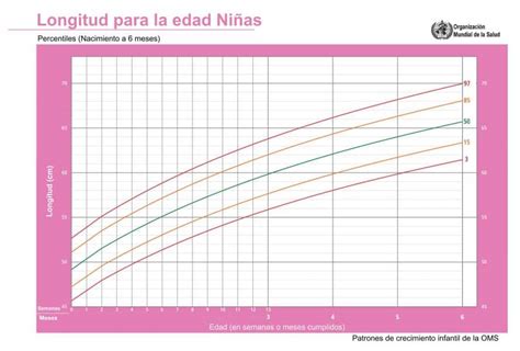 Todo Sobre Los Percentiles Y El Crecimiento En Niños Deusto Salud