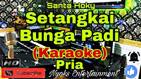 SETANGKAI BUNGA PADI Santa Hoky Karaoke Dangdut Live Band Nada