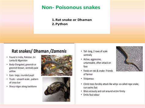 Snakes-poisonous & Non poisonous, venom ,biting mechanism | PPTX