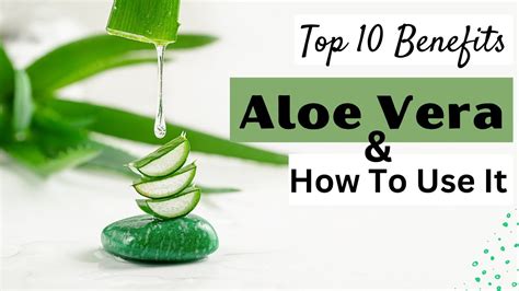 Top 10 Benefits Of Aloe Vera For Skin And How To Use It Youtube