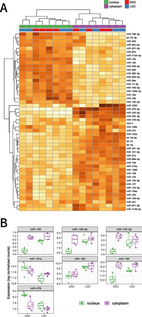 Differential Expression Of Mirna Between The Nucleus And Cytoplasm In