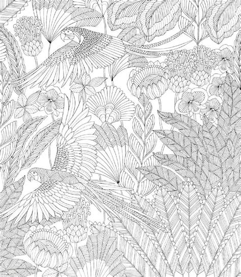 Epfo Website Rainforest Mindful Colouring