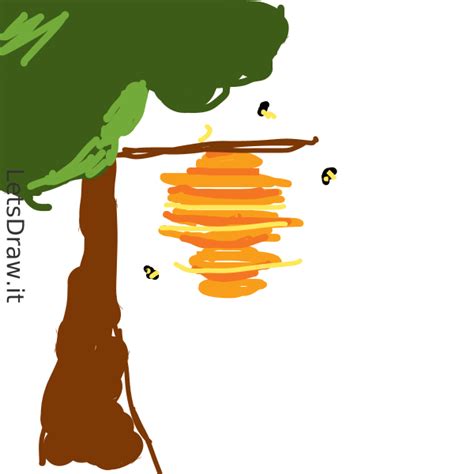 How To Draw Bee Hive I1d7xi1xspng Letsdrawit