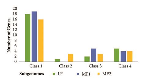 A The Collinear Correlation For All The Genes Of BraE2 Was Displayed