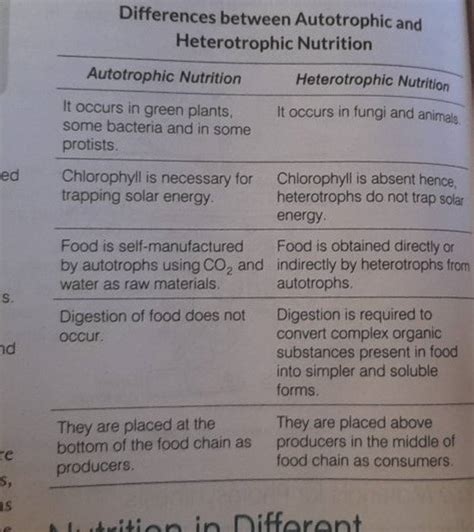 Differences Between Autotrophic And Heterotrophic Nutrition Autotrophic N