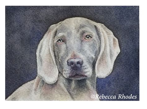 Rebecca Rhodes Art Rebecca Rhodes Watercolor Artist