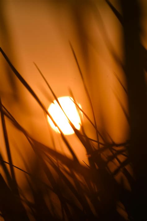 Green Grass Under White Sky at Sunset · Free Stock Photo