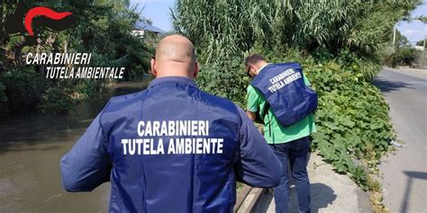 Carabinieri Del NOE All Isola Ecologica Di Castellammare Di Stabia