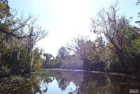 NOLA Swamp Tour _2 - Blanket Fort Adventures