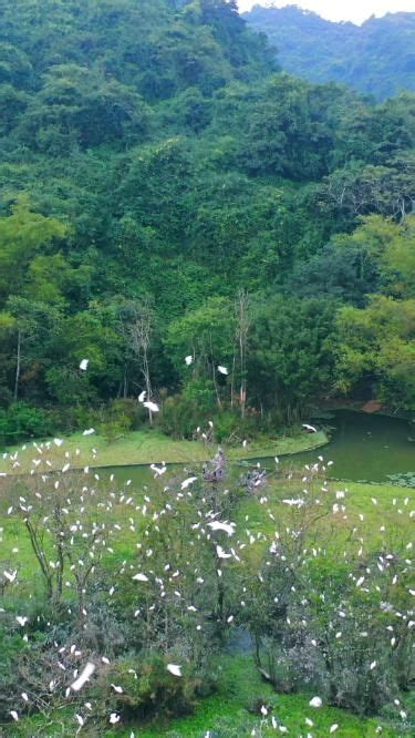 Pin on Thung Nham Bird Park - Ninh Binh Province