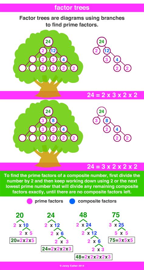 Factor Tree A Maths Dictionary For Kids Quick Reference By Jenny Eather