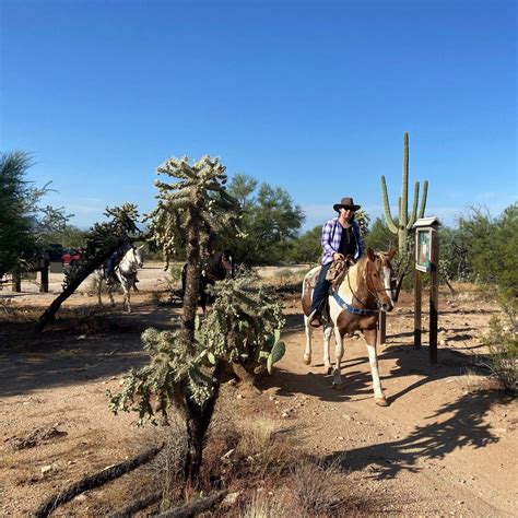 Greetings from Marana gallery - Town of Marana, AZ