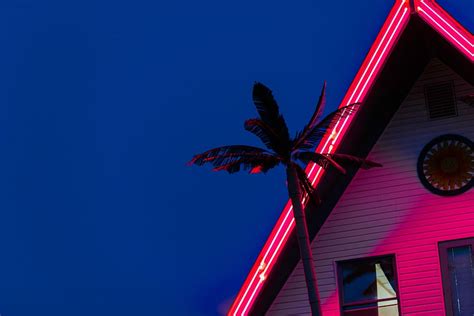 Hd Wallpaper Silhouette Photo Of Coconut Tree Near House Under Blue