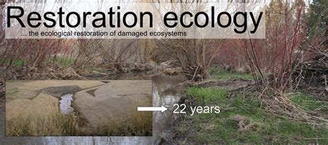 Ecological Restoration