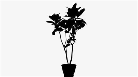 Flower Pot Silhouette at GetDrawings | Free download