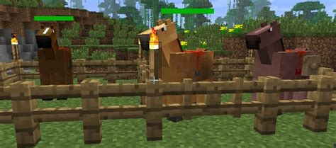 Mo Creatures Horses Breeding And Taming Minecraft Horse Horses