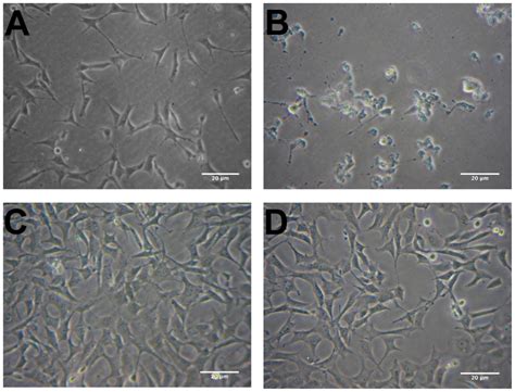 IJMS | April 2012 - Browse Articles 