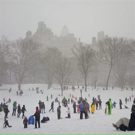 Wollman Rink Ice Skating Experience | NYC