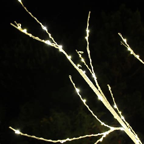 Bouleau Lumineux Lucidum H Cm Blanc Chaud Sapin Et Arbre