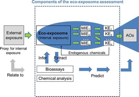 The Eco Exposome Concept Supporting An Integrated Assessment Of Mixtures Of Environmental