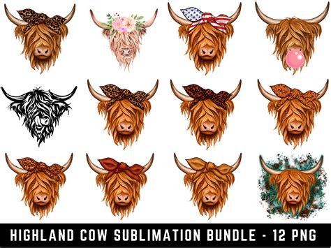 Highland Cow Png Bundle Scottish Breed Cow Face Clipart Sublimation