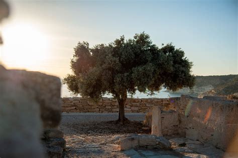 Discovering The Rich History And Cultural Heritage Of Cyprus Island